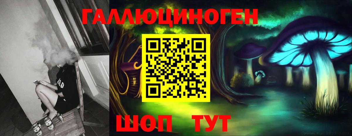 Кемерово  Галлюциногенные грибы GOLDEN TEACHER  Вход с VPN 